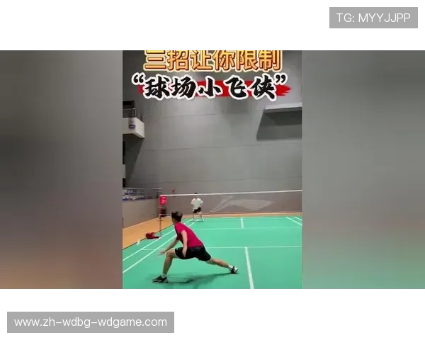 羽毛球双刃十战术解析与技巧提升全面指南