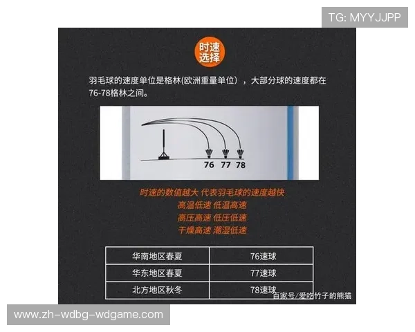 羽毛球轻重速度