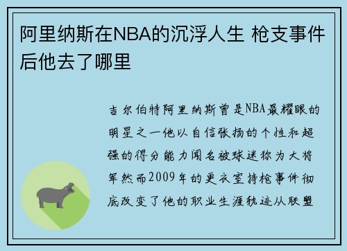 阿里纳斯在NBA的沉浮人生 枪支事件后他去了哪里